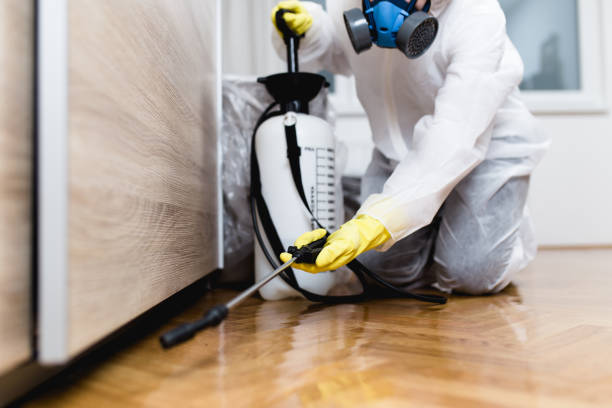 Pest Control Cost in Bloomington, IL