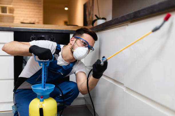 Best Commercial Pest Control Services  in Bloomington, IL