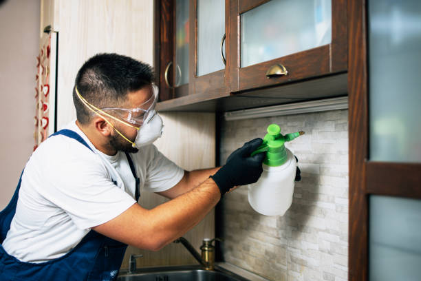 Best Local Pest Control Services  in Bloomington, IL