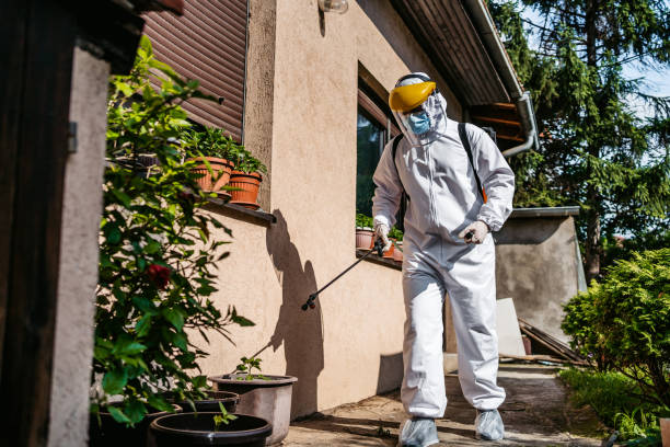 Bird Control in Bloomington, IL