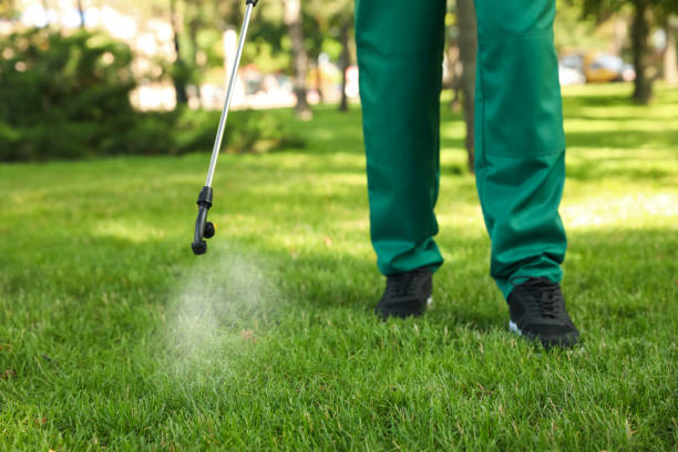 Reliable Bloomington, IL Pest Control Solutions