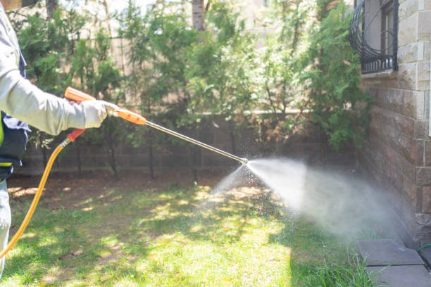 Best Bed Bug Extermination  in Bloomington, IL