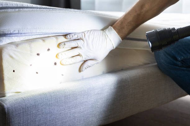 Best Exterminator Services  in Bloomington, IL
