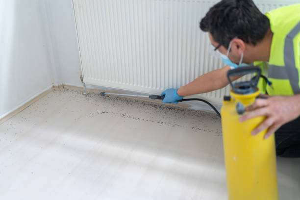 Best Pest Control Near Me  in Bloomington, IL