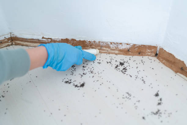 Bloomington, IL Pest Control Company
